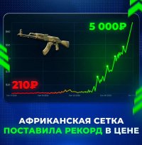 Скриншот 07-10-2025 165019.jpg